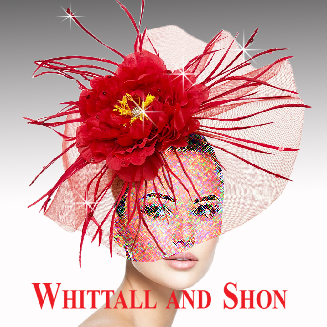 FA3463 SINGAPORE - Image 2