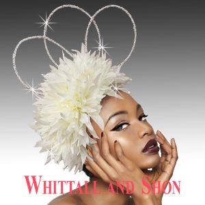 FA3538 FrouFrou Fascinator