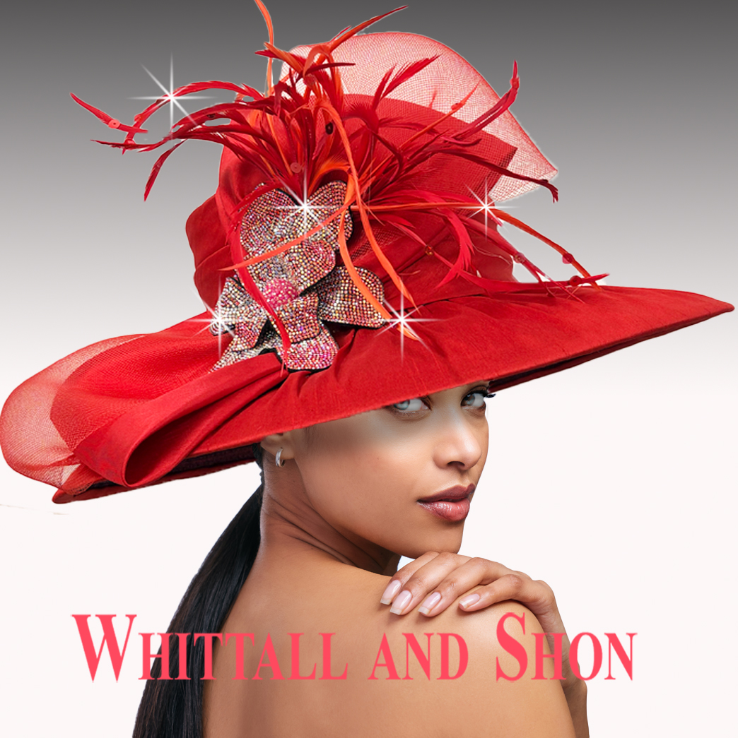 3550 Elvia Draped Brim Hat